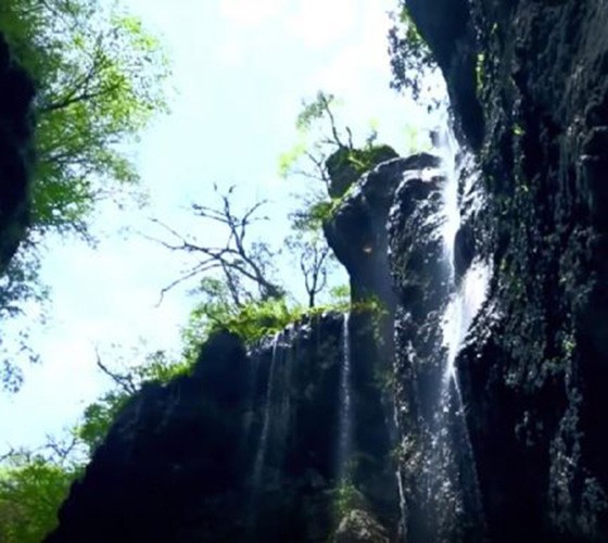 青山綠水，白龍江畔江畔息白鷺，兩岸綠橄欖入眼的都是純樸自然枝上花開(kāi)，春來(lái)水暖魚(yú)蝦戲水，鳥(niǎo)語(yǔ)花香心中充滿(mǎn)著舒暢之感祥宇生態(tài)產(chǎn)業(yè)園，位于隴南市武..